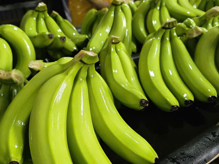 Cavendish Banana