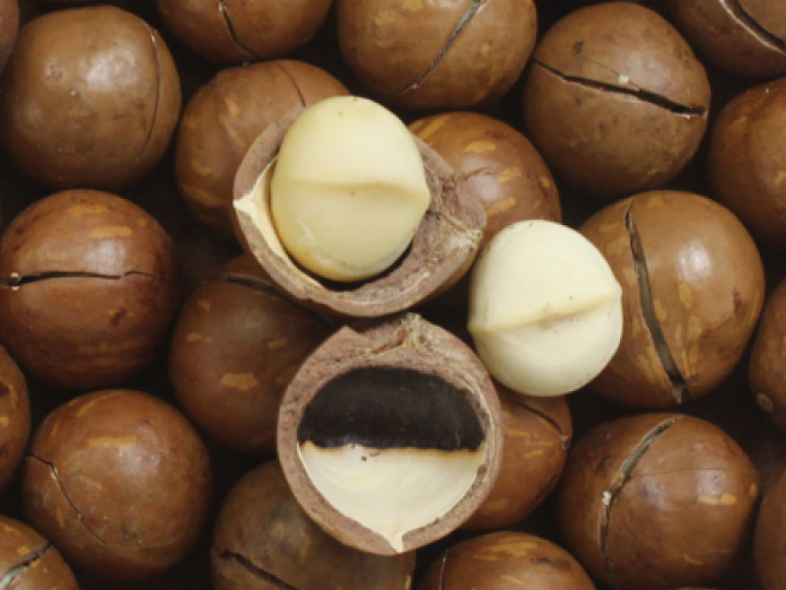 Hạt Macca