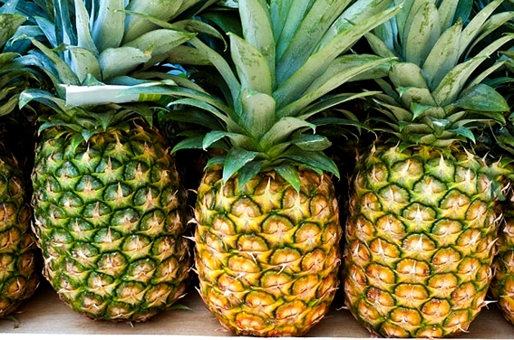Pineapple MD2