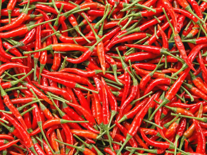 Chilli