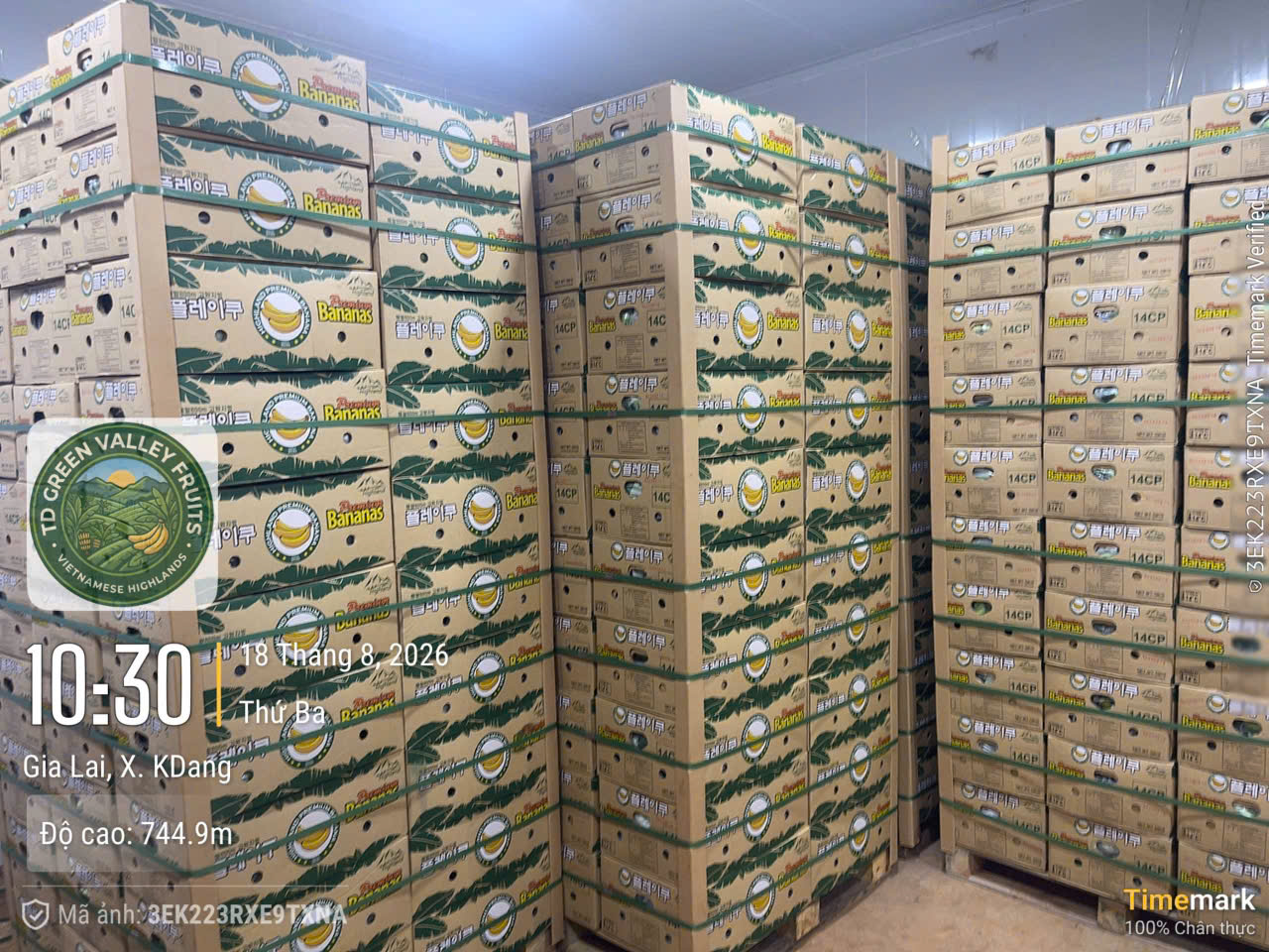 Bao bì nhãn riêng cho đối tác nhập khẩu