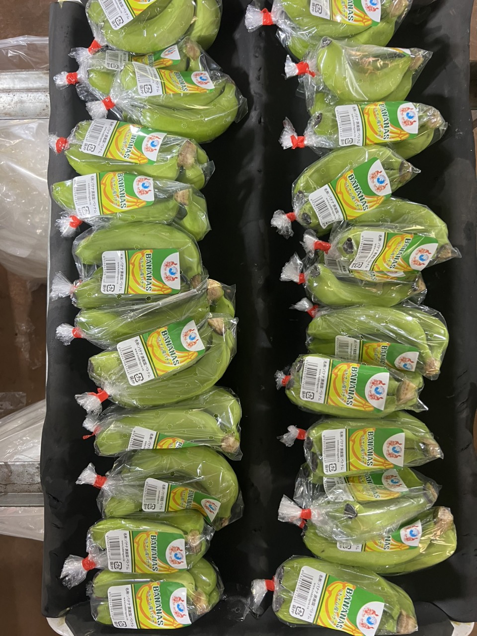 Cavendish Banana