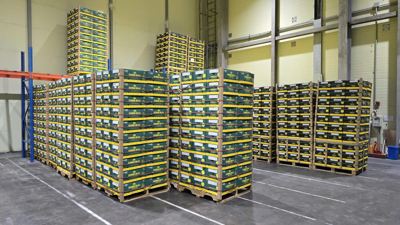 Hình ảnh nông trại và nhà máy TD Green Valley Fruits (6)