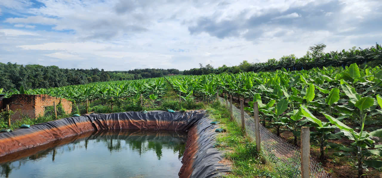 Ứng dụng kỹ thuật